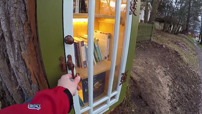 Woman Turned 110-Year-Old Dead Tree Into A Free Little Library For The Neighborhood And It Looks Magical Woman Turned 110-Year-Old Dead Tree Into A Free Little Library For The Neighborhood And It Looks Magical
