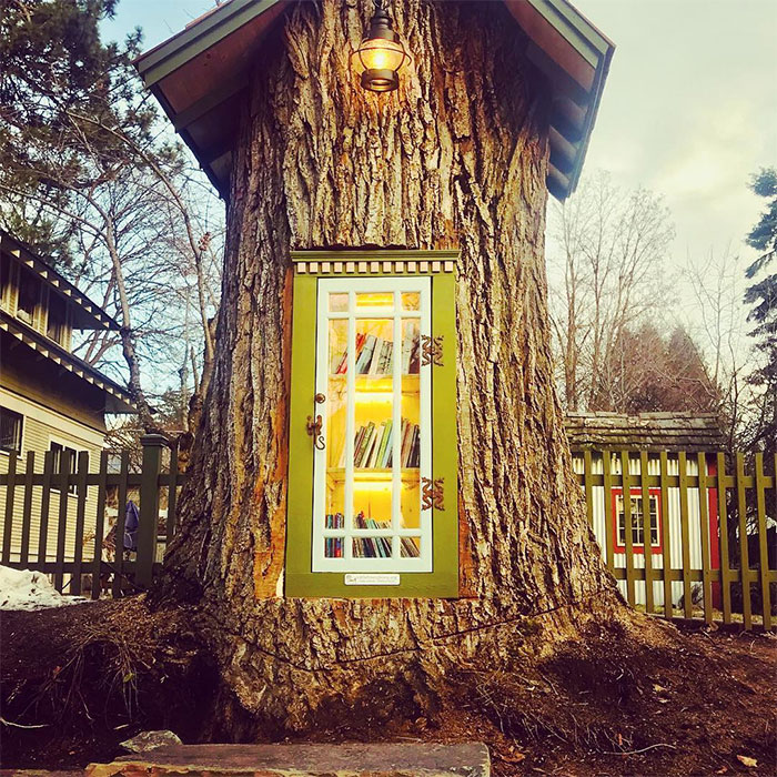 Woman Turned 110-Year-Old Dead Tree Into A Free Little Library For The Neighborhood And It Looks Magical Woman Turned 110-Year-Old Dead Tree Into A Free Little Library For The Neighborhood And It Looks Magical