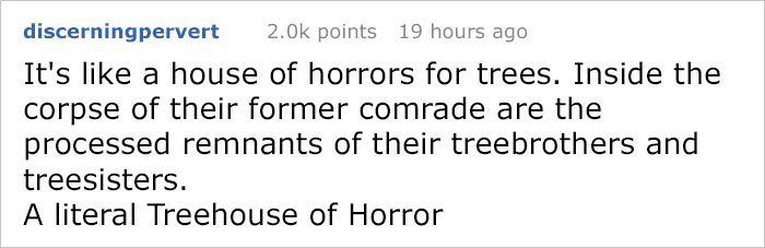 Woman Turned 110-Year-Old Dead Tree Into A Free Little Library For The Neighborhood And It Looks Magical