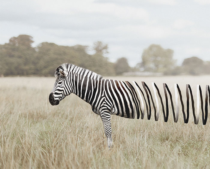 37 Surreal Photo Manipulations By Zulkarnain Ismail That Challenge Logic