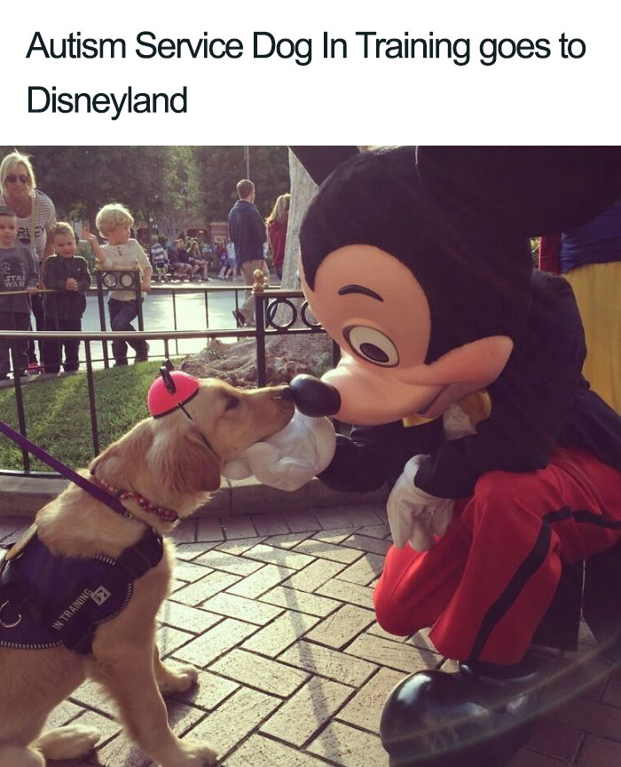 Amazing-Disney-Employees