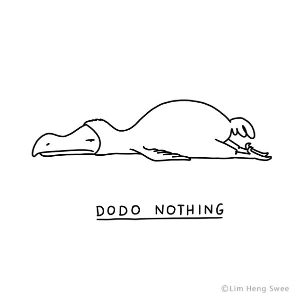 Dodo