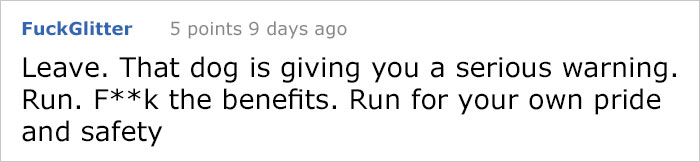 The Way This 95lbs Dog Saved This Woman From Her Boss&rsquo;s Sexual Harassment Is Incredible