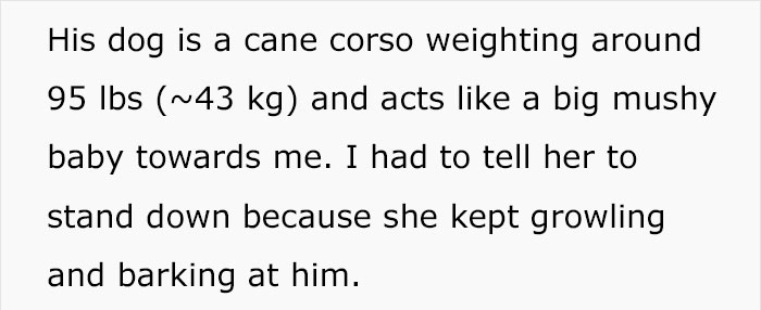 The Way This 95lbs Dog Saved This Woman From Her Boss’s Sexual Harassment Is Incredible The Way This 95lbs Dog Saved This Woman From Her Boss’s Sexual Harassment Is Incredible