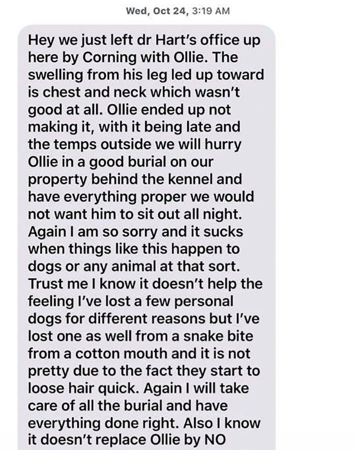 A Dog Trainer Who Allegedly Killed Or Sold A Dog In His Care Asked Not To Post His Texts On Social Media - Here They Are A Dog Trainer Who Allegedly Killed Or Sold A Dog In His Care Asked Not To Post His Texts On Social Media - Here They Are