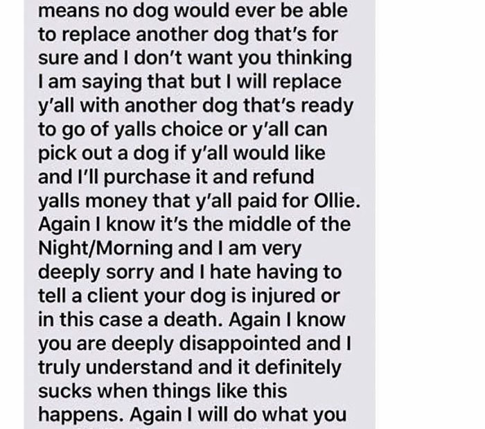 A Dog Trainer Who Allegedly Killed Or Sold A Dog In His Care Asked Not To Post His Texts On Social Media - Here They Are A Dog Trainer Who Allegedly Killed Or Sold A Dog In His Care Asked Not To Post His Texts On Social Media - Here They Are