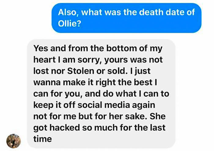 A Dog Trainer Who Allegedly Killed Or Sold A Dog In His Care Asked Not To Post His Texts On Social Media - Here They Are A Dog Trainer Who Allegedly Killed Or Sold A Dog In His Care Asked Not To Post His Texts On Social Media - Here They Are
