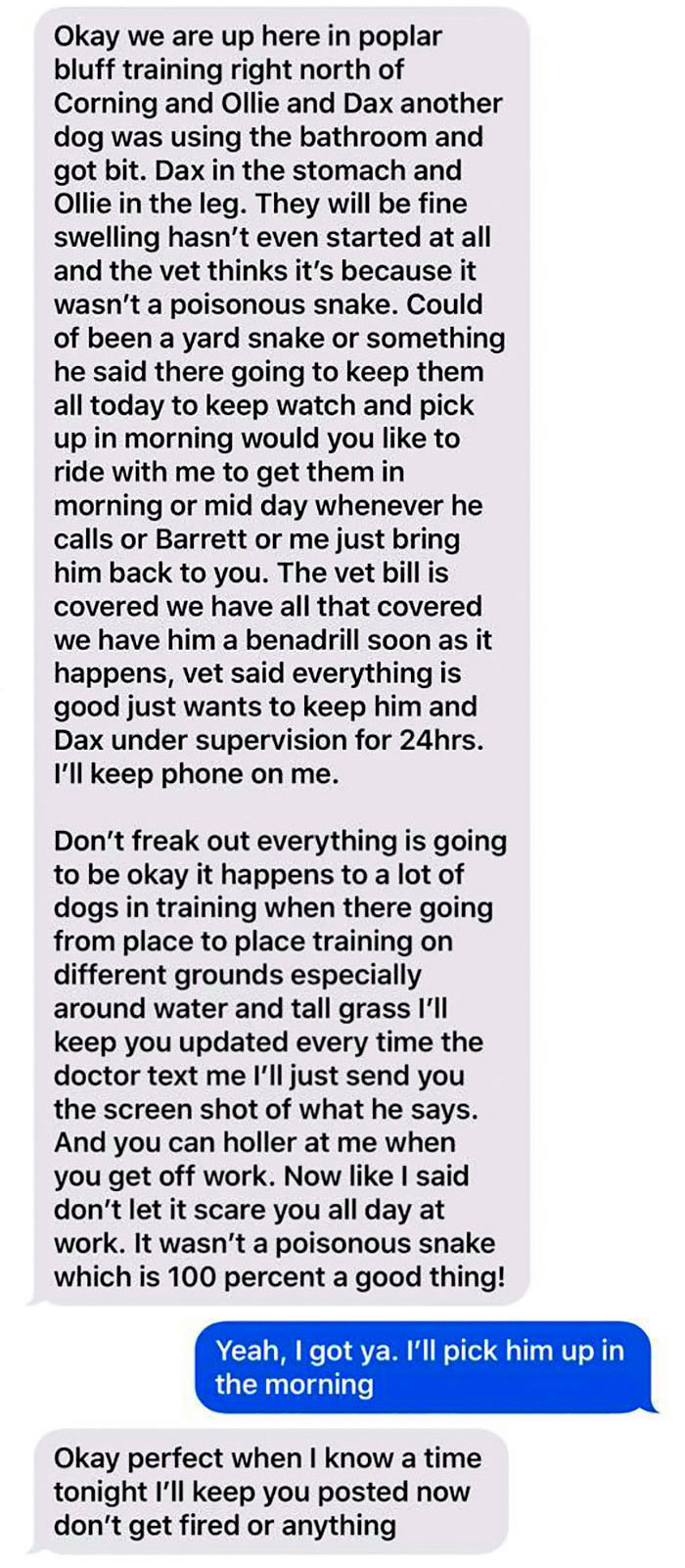 A Dog Trainer Who Allegedly Killed Or Sold A Dog In His Care Asked Not To Post His Texts On Social Media - Here They Are A Dog Trainer Who Allegedly Killed Or Sold A Dog In His Care Asked Not To Post His Texts On Social Media - Here They Are