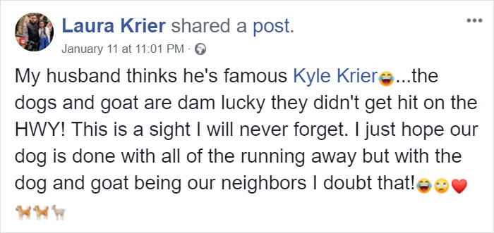 Lab Owner Can't Believe His Eyes When He Finds His Missing Dog Running In The A Field With Two Unusual 'Friends'
