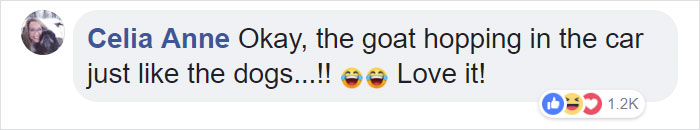 Lab Owner Can't Believe His Eyes When He Finds His Missing Dog Running In The A Field With Two Unusual 'Friends' Lab Owner Can't Believe His Eyes When He Finds His Missing Dog Running In The A Field With Two Unusual 'Friends'