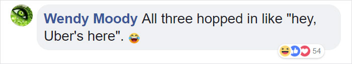 Lab Owner Can't Believe His Eyes When He Finds His Missing Dog Running In The A Field With Two Unusual 'Friends' Lab Owner Can't Believe His Eyes When He Finds His Missing Dog Running In The A Field With Two Unusual 'Friends'