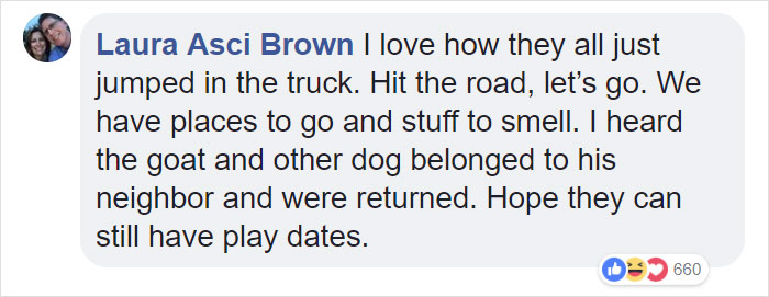 Lab Owner Can't Believe His Eyes When He Finds His Missing Dog Running In The A Field With Two Unusual 'Friends' Lab Owner Can't Believe His Eyes When He Finds His Missing Dog Running In The A Field With Two Unusual 'Friends'