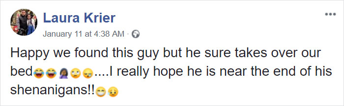 Lab Owner Can't Believe His Eyes When He Finds His Missing Dog Running In The A Field With Two Unusual 'Friends' Lab Owner Can't Believe His Eyes When He Finds His Missing Dog Running In The A Field With Two Unusual 'Friends'