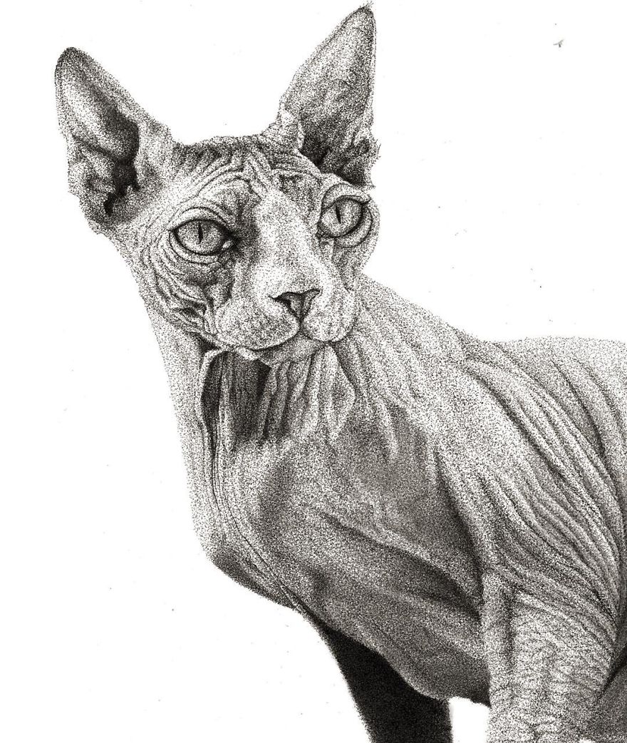 I Create Drawings Dot By Dot With A Pen And It Takes Hundreds Of Hours