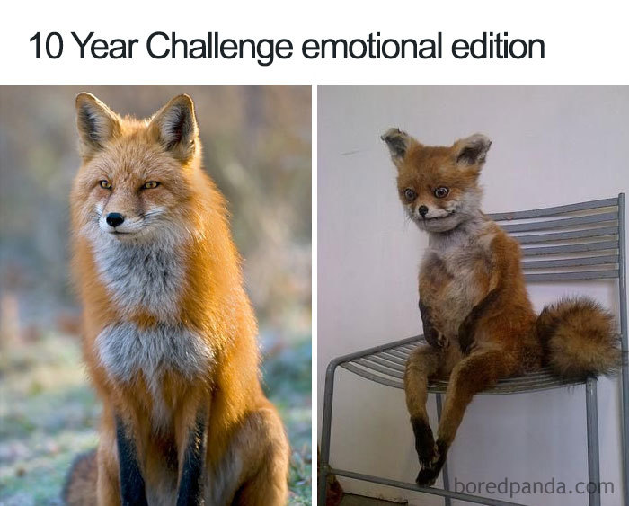 Funny-10-Year-Challenge-Memes