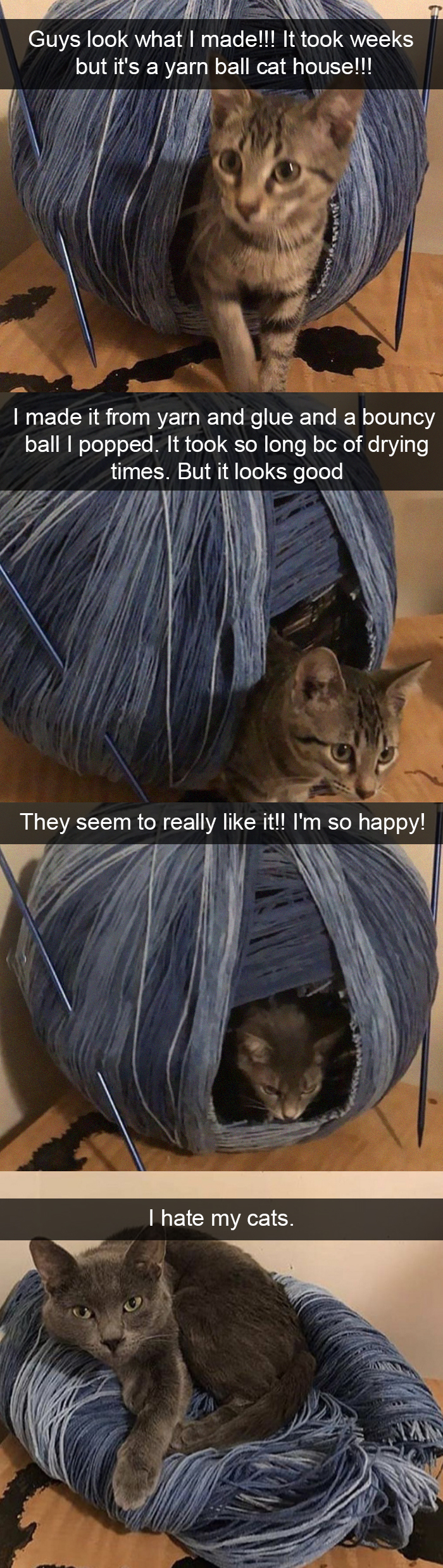 Guys Look What I Made!!! It Took Weeks But It's A Yarn Ball Cat House!!!!!