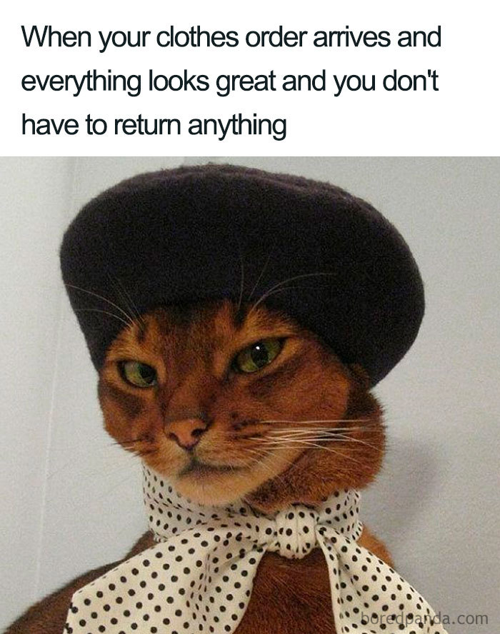 Cat wearing a beret and polka dot scarf, humorously dressed in a fashion disaster theme.
