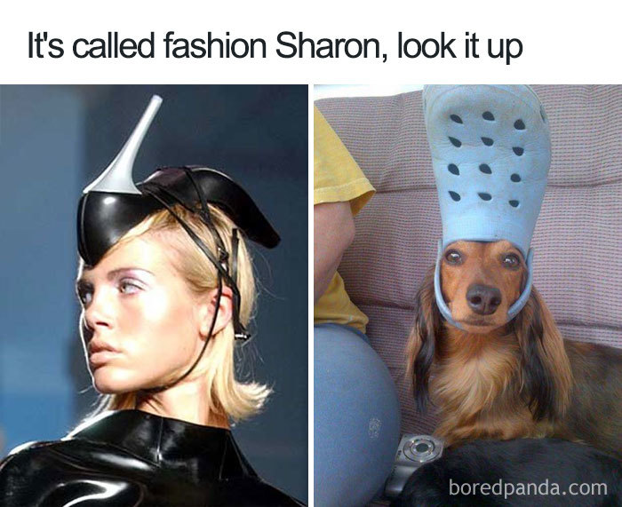 Fashion disasters meme with a model and a dog wearing unique headpieces.