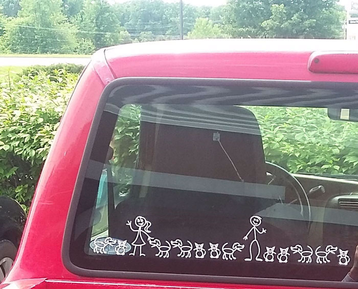 Funny-Pets-Over-Kids-Memes