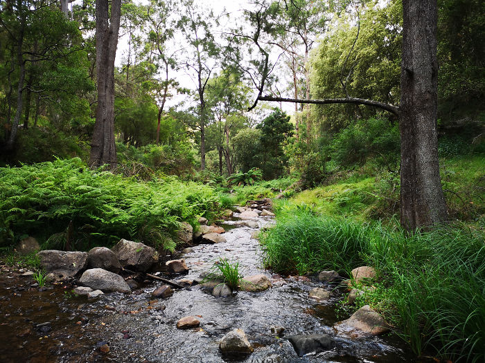 Guy Tries To Take A 15 Min 'Shortcut' Suggested By Google Maps, Gets A Lesson And A Trip Of A Lifetime Guy Tries To Take A 15 Min 'Shortcut' Suggested By Google Maps, Gets A Lesson And A Trip Of A Lifetime