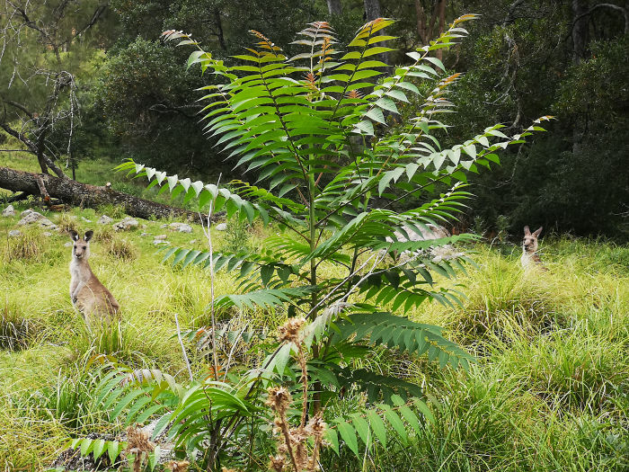Guy Tries To Take A 15 Min 'Shortcut' Suggested By Google Maps, Gets A Lesson And A Trip Of A Lifetime