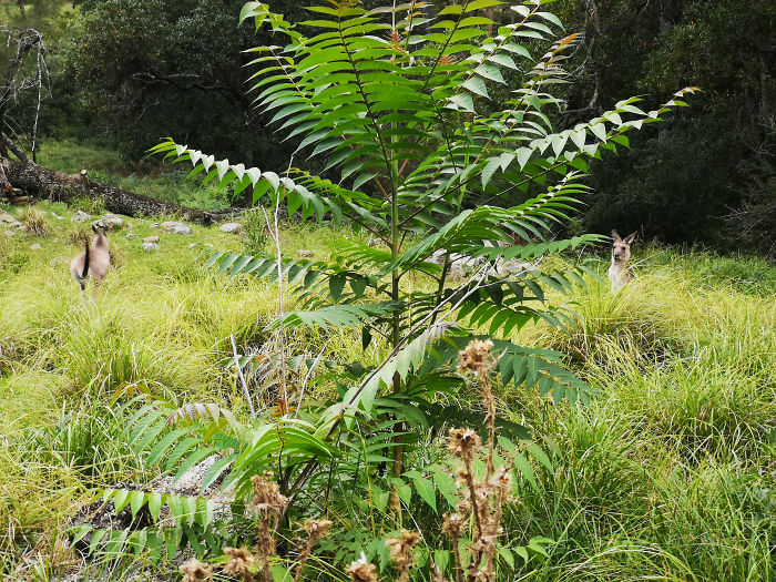 Guy Tries To Take A 15 Min 'Shortcut' Suggested By Google Maps, Gets A Lesson And A Trip Of A Lifetime Guy Tries To Take A 15 Min 'Shortcut' Suggested By Google Maps, Gets A Lesson And A Trip Of A Lifetime