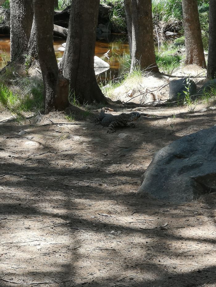 Guy Tries To Take A 15 Min 'Shortcut' Suggested By Google Maps, Gets A Lesson And A Trip Of A Lifetime Guy Tries To Take A 15 Min 'Shortcut' Suggested By Google Maps, Gets A Lesson And A Trip Of A Lifetime