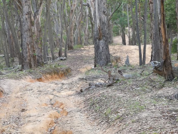 Guy Tries To Take A 15 Min 'Shortcut' Suggested By Google Maps, Gets A Lesson And A Trip Of A Lifetime Guy Tries To Take A 15 Min 'Shortcut' Suggested By Google Maps, Gets A Lesson And A Trip Of A Lifetime