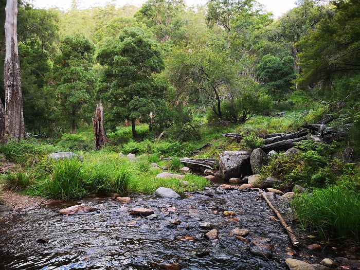Guy Tries To Take A 15 Min 'Shortcut' Suggested By Google Maps, Gets A Lesson And A Trip Of A Lifetime Guy Tries To Take A 15 Min 'Shortcut' Suggested By Google Maps, Gets A Lesson And A Trip Of A Lifetime