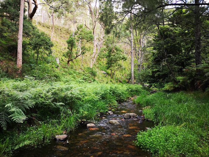 Guy Tries To Take A 15 Min 'Shortcut' Suggested By Google Maps, Gets A Lesson And A Trip Of A Lifetime Guy Tries To Take A 15 Min 'Shortcut' Suggested By Google Maps, Gets A Lesson And A Trip Of A Lifetime