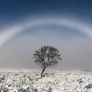 shannonalderson avatar