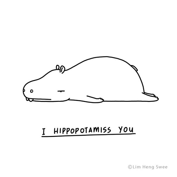 Hippopotamus
