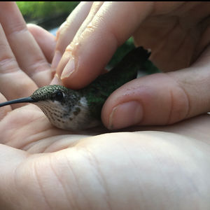 gabbyhansard104 avatar