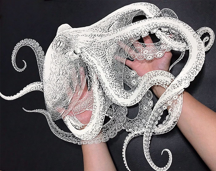 Japanese Artist Hand-Cuts Octopus From A Single Sheet Of Paper, And It’s Even More Impressive From Up Close Japanese Artist Hand-Cuts Octopus From A Single Sheet Of Paper, And It’s Even More Impressive From Up Close