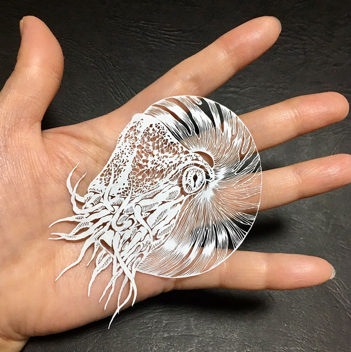 Japanese Artist Hand-Cuts Octopus From A Single Sheet Of Paper, And It&rsquo;s Even More Impressive From Up Close