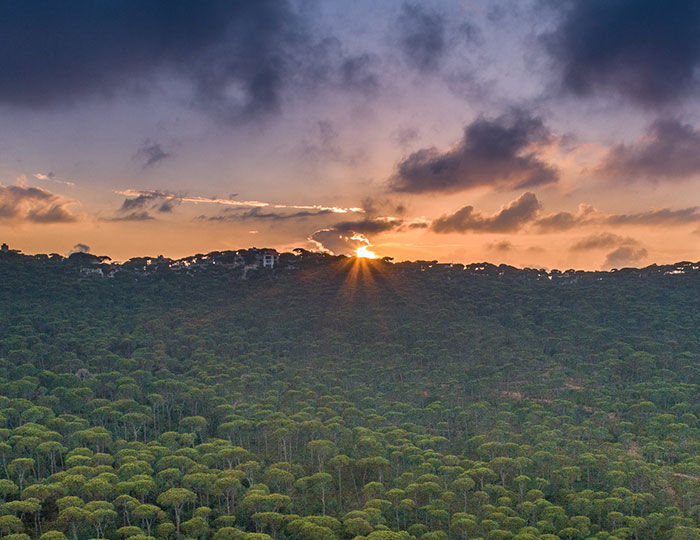 Overshadowed By The Syrian War, Lebanon’s Beauty Is Revealed In 50 Breathtaking Photos