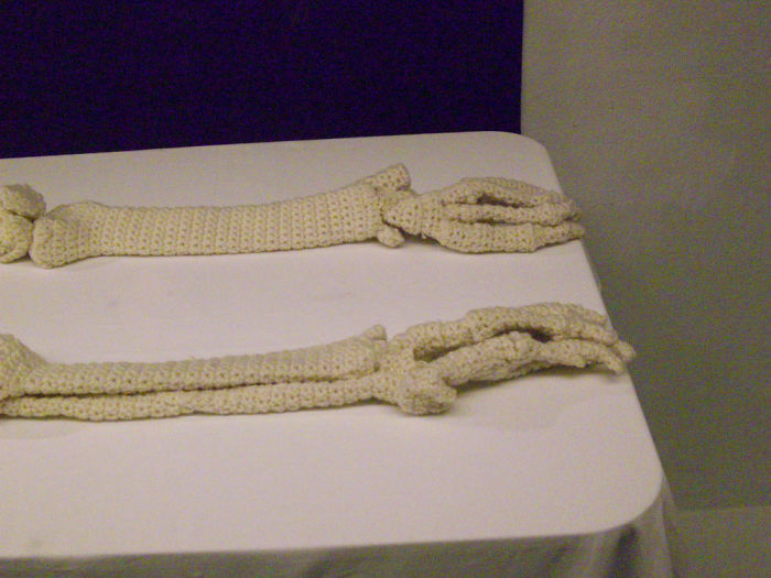 This Life-Size Crochet Skeleton Is So Intricate, The Stomach Even Has Half-Digested Food In It