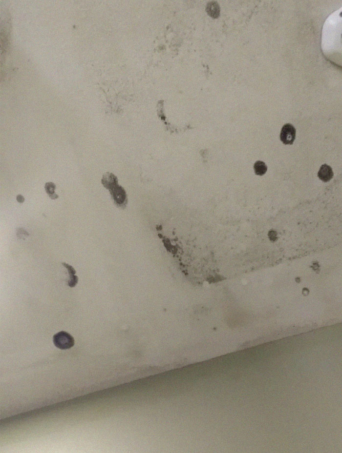 This Homeless Woman Explained Why People Should Stop Donating To The Salvation Army This Homeless Woman Explained Why People Should Stop Donating To The Salvation Army