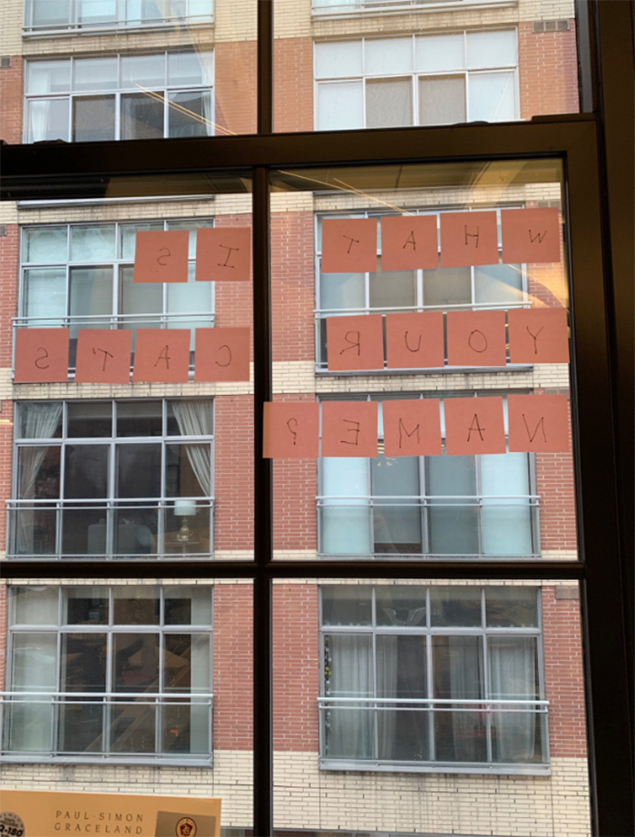 The Conversation This Woman Had With A Cat Next Door Is Going Viral And It’s Too Cute