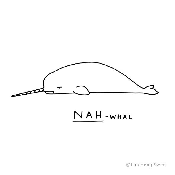 Narwhal