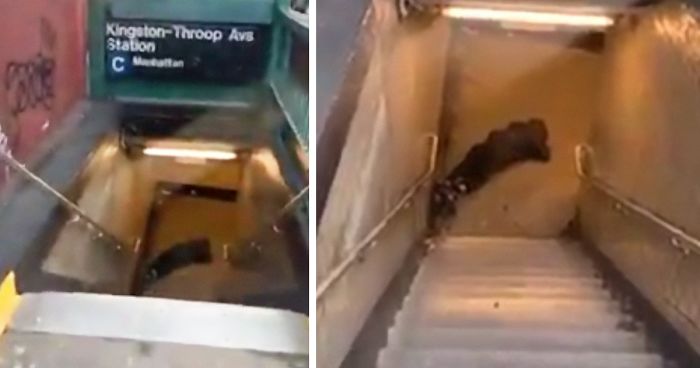 Netflix Warns People To Stop Doing The ‘Bird Box Challenge’, But Not Everyone Listens