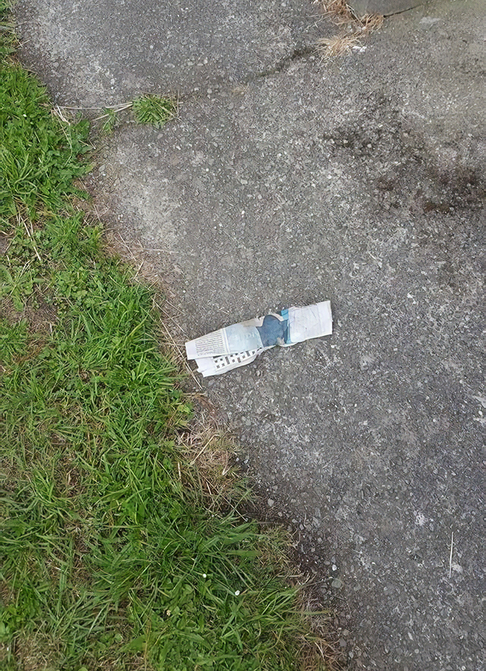 Woman Catches Her Cat Returning From Neighbor's Property With Stolen Goods Woman Catches Her Cat Returning From Neighbor's Property With Stolen Goods