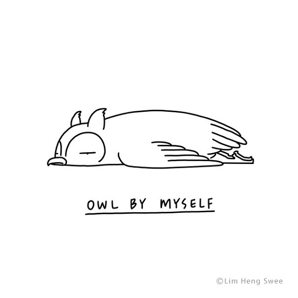 Owl