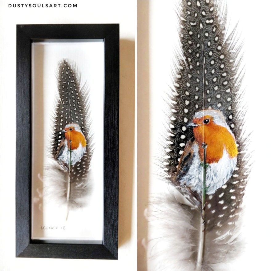 Robin On Guinea Fowl