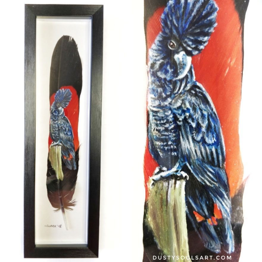 Black Cockatoo On Black Cockatoo