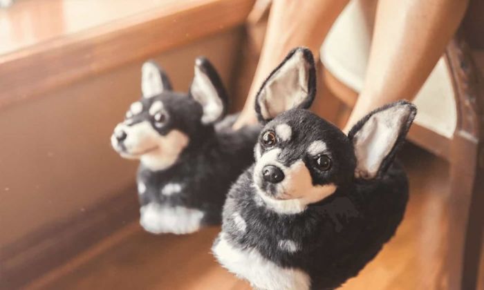 Custom Pet Slippers