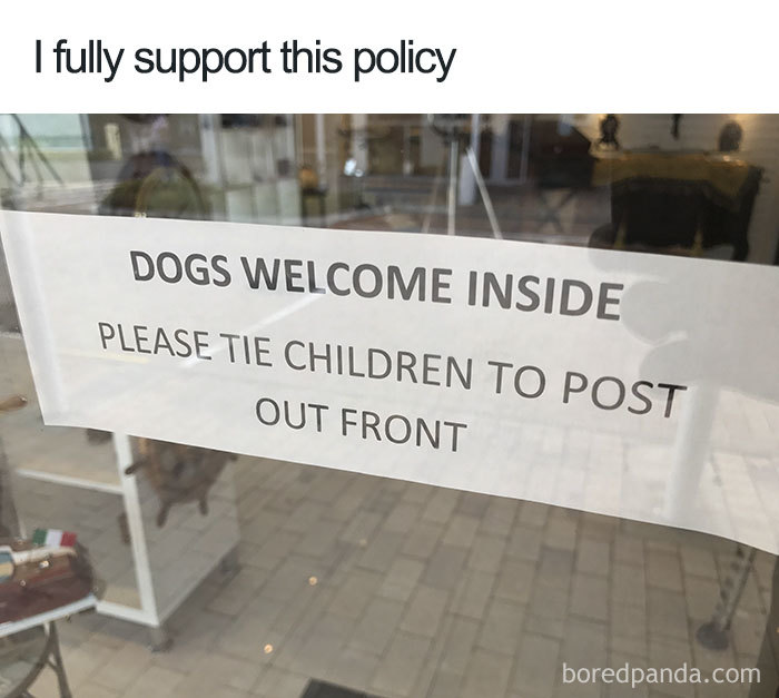 Funny-Pets-Over-Kids-Memes