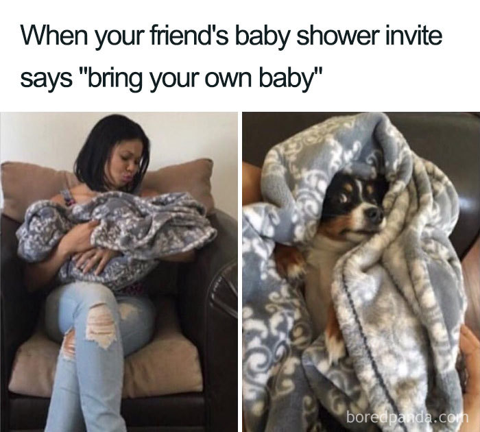 Funny-Pets-Over-Kids-Memes