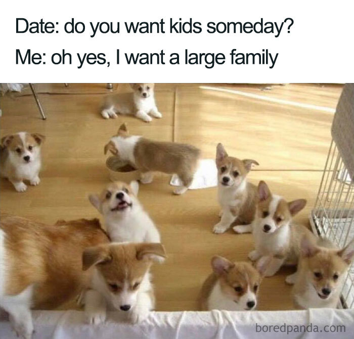Funny-Pets-Over-Kids-Memes