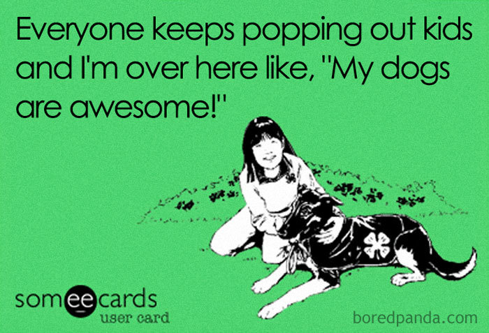 Funny-Pets-Over-Kids-Memes